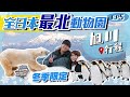 【北海道自由行】旭川網走快閃行程｜全日本最北的動物園！冬季限定企鵝散步｜北海道Vlog EP5｜Kiki and May