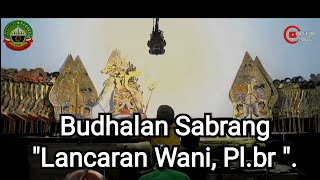 Budhalan Lancaran Wani.