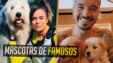 ¿Cómo se llaman las mascotas de los famosos?