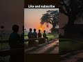 Indian village #shortvideo #nature 🌿🍃 life#shorts#viral#trending#short#shortvideo#nature