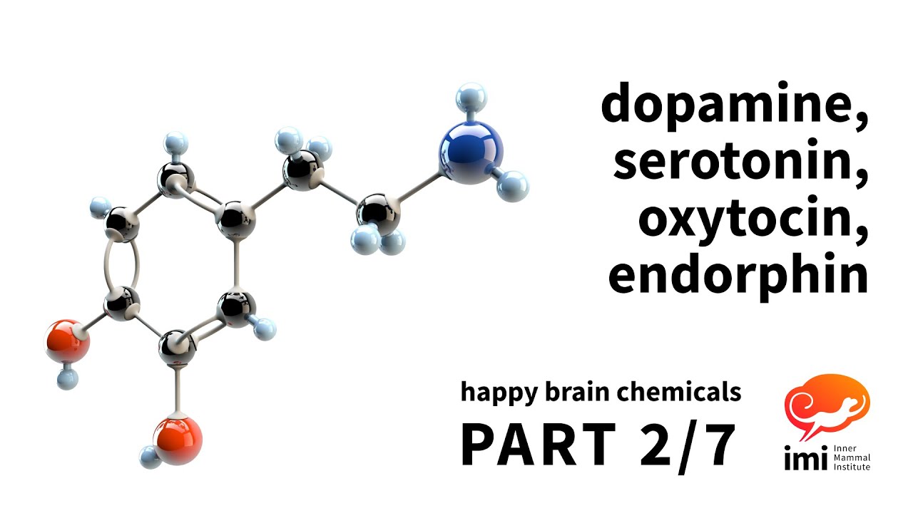 Эндорфин 2. Dopamine Serotonin. Дофамин серотонин окситоцин. Дофамин серотонин Эндорфин окситоцин. Эндорфин л2.