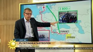 Hans Rosling: "Man kan ju ta dit en färja" - Nyhetsmorgon (TV4)