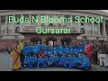 Buds n blooms school gursarai