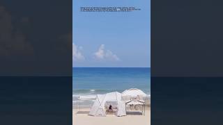 Immersive tram camping at the beach