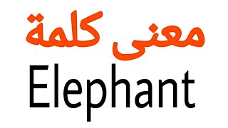 معنى كلمة Elephant | الصحيح لكلمة Elephant | المعنى العربي ل Elephant | كيف تكتب كلمة Elephant | ك