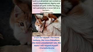 #shorts: Dogs and Cats : Significance in Time and Space Perspectives?