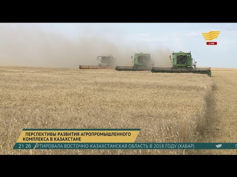 Казахстан в 2018 году достиг самого большого экспорта зерна
