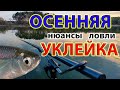 РЫБАЛКА осенью, УКЛЕЙКА в октябре - нюансы ловли. Осенняя уклейка - Рыбалка 2020