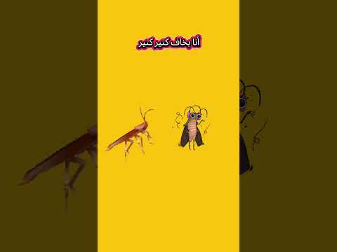 ويلي ويلي من الصراصير أنا بخاف كتير كتير