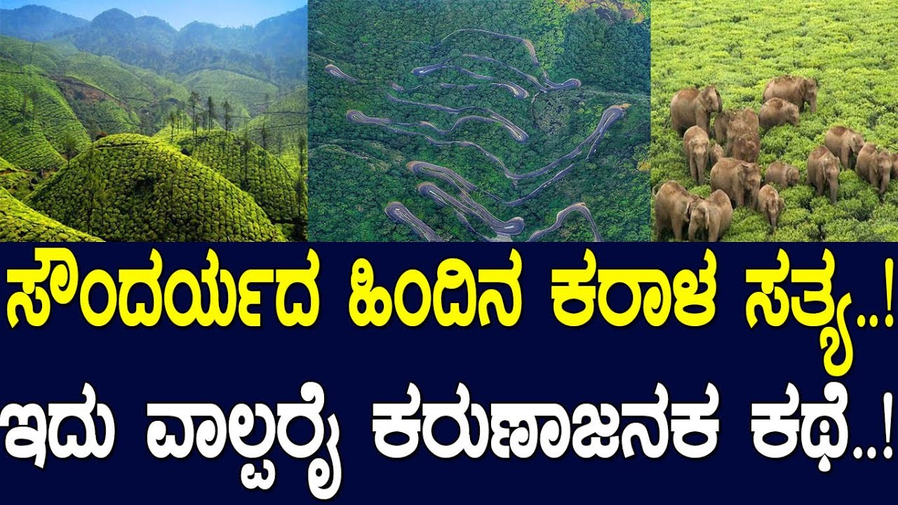 ದುರಾಸೆಗೆ ಬಿದ್ದ ಮನುಷ್ಯ ಅಲ್ಲಿ ನಾಶ ಮಾಡಿದ್ದೇನು ಗೊತ್ತಾ.? ಇದು ತಮಿಳು ನೆಲದ ಕಣ್ಣಿರ ಕತೆ.! Story of Valparai