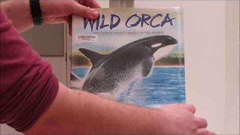 Mohave County Library Summer Reading Virtual Storytime - Week 3:  "Ocean Animals"