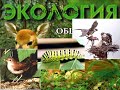 Основы экологии