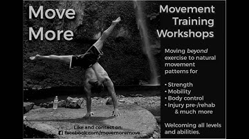 Workshop #1 - Locomotion, Quadrupedal Patterns & Social Movement