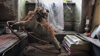 Information STRANGE ABANDONED HOUSE WITH HUMAN ASHES LEFT BEHIND | ABANDONED PLACES UK | ABANDONED PLACES Guide