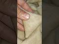 بريوات ياسلام الحداكة المطبخ المغرب  الطبخ المغربي