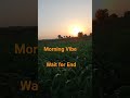 morning Vibe ☺️#toptrending #trending #viral #viralvideo #funny #love #vlog #nature #farming#birds