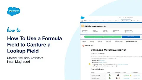 How To Use a Formula Field to Capture a Lookup Field