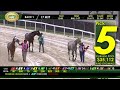 Tampa Bay Downs Live Stream