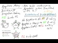 Apoptosis assay - AnnexinV PI