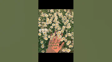 معاني الشامة في الجسم 