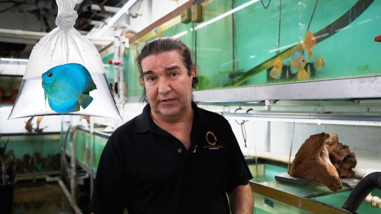 Bagging our fish for transportation YouTube