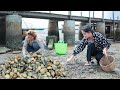 Pleasure time to find Clam at shore when low tide | Clam in my homeland | Yummy Clam Recipe