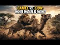 الجمل ضد الأسد: من سيفوز؟ 🐪🦁 | المواجهة النهائية لحيوانات الصحراء