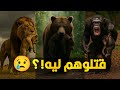 ليه حيوانات كتير بتقتل عيالها وهما لسه صغيرين سر أبشع قوانين الغابة ليه حيوانات كتير بتقتل عيالها وهما لسه صغيرين سر أبشع قوانين الغابة