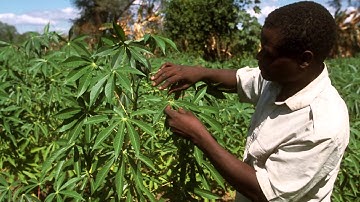 Interview with Hans Herren (Millennium Institute) at the Agroecology Symposium 1