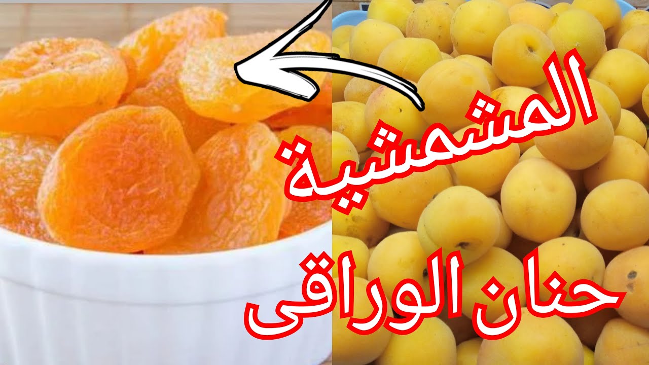 طريقة تحضير مشمش مجفف طبيعي احترافي بكل تفاصيله ناجح من اول تجربة🍑🍑🍑🍑