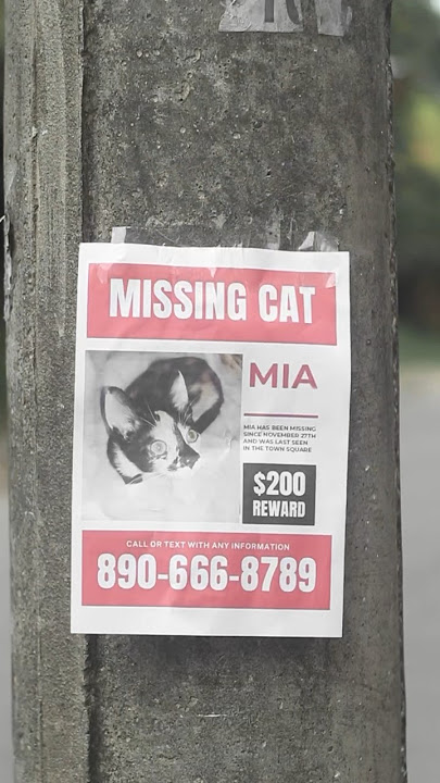 UNCANNY VALLEY - THE MISSING CAT 😭😿 #uncannyvalley #trend