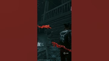 From Down Under #dbd #deadbydaylightsurvivor #dbdshorts #dbdsurvivor #deadbydaylightfunnymoments