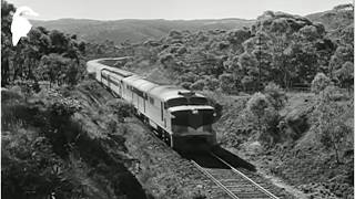 Train Trip to Adelaide (1952) | Australia Railway Journey from Murray Bridge