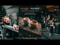 Magic muted photography preset editing  lightroom moody presets free download  dng  xmp