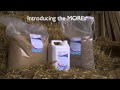 Download 'Core & More' Equifeast 'Core & More' Equifeast