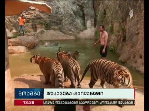 ტაილანდში, კანჩანაბურის პროვინციის მონასტერში კიდევ 30 ვეფხვის ლეში აღმოაჩინეს