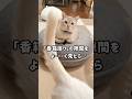 元野良猫くう｜香箱座りの隙間をよーーーく見たら…お尻尾挟んでたw　#shorts