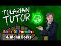 Tolarian tutor birds of paradise and mana dorks  improve your magic the gathering gameplay