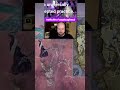Chat's red wine hot takes  | #coydoughnut on #twitch @broooksly  #nightreign
