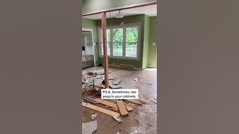 You never know what you’re going to find during demo! #demo #rat #gross #construction