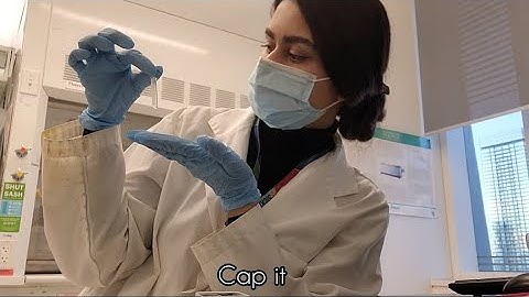 🧪Thermal Denaturation of Proteins using Circular Dichroism || Practical Biochemistry