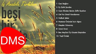 Soner Soyer - Uruni Uruni [ İç Anadolu Türküleri © 2010 DMS Müzik ] Resimi