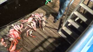 Super Voyager III 24-Hour Fishing 9-29-12