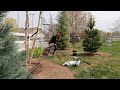 Planting a Pineapple, Crabapple & Lilac + New Obelisks for the Raised Beds! 🍍😍🌿 // Garden Answer