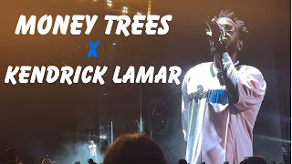 MONEY TREES x Kendrick Lamar  | Camp Flog Gnaw 2023