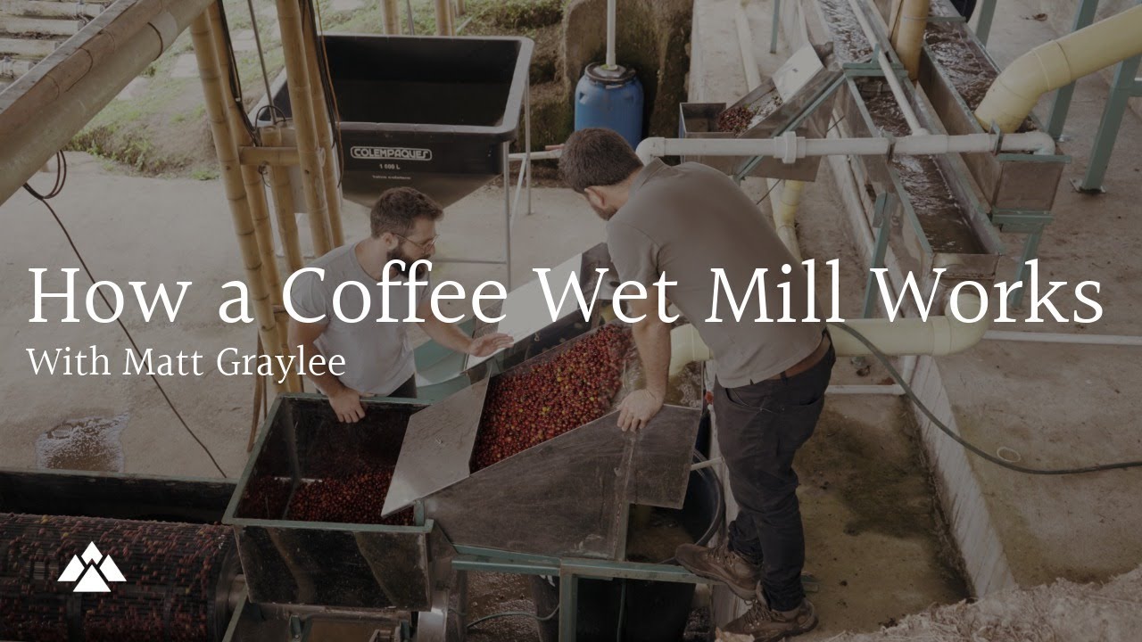 How a Coffee Wet Mill Works