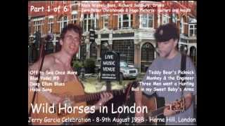 Wild Horses in London - Jerry Garcia Celebration August 1998 (1 of 6)