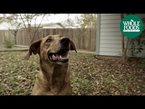 dog-food-l-tender-&-true-pet-food-|-whole-foods-market