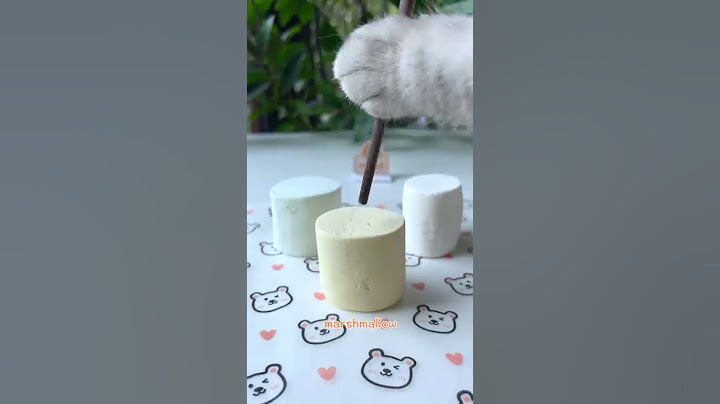Cooking With Cat!Yummy Idea With Marshmallow | Marshmallow Sandwich Cookies | Cute Cat TikTok#Shorts