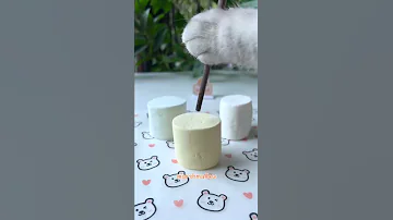 Cooking With Cat Yummy Idea With Marshmallow Marshmallow Sandwich Cookies Cute Cat TikTok Shorts 
